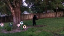 Bird Feeding Bear