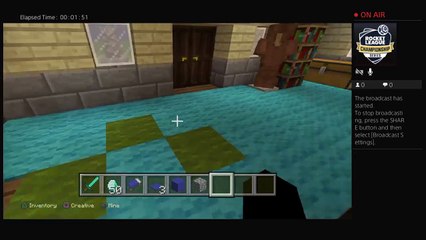 Minecraft house tour (21)