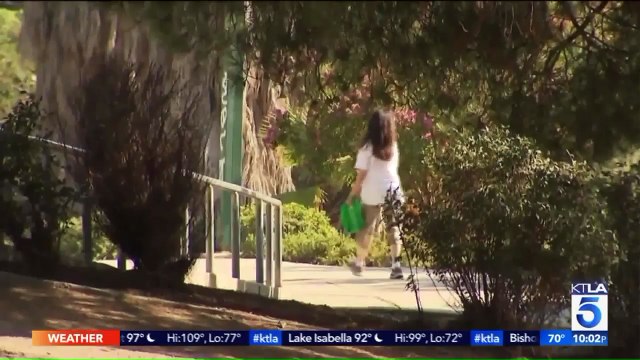 Woman Catches Man Peeping Into Her Apartment Amid Search for Sexual Assault Suspect