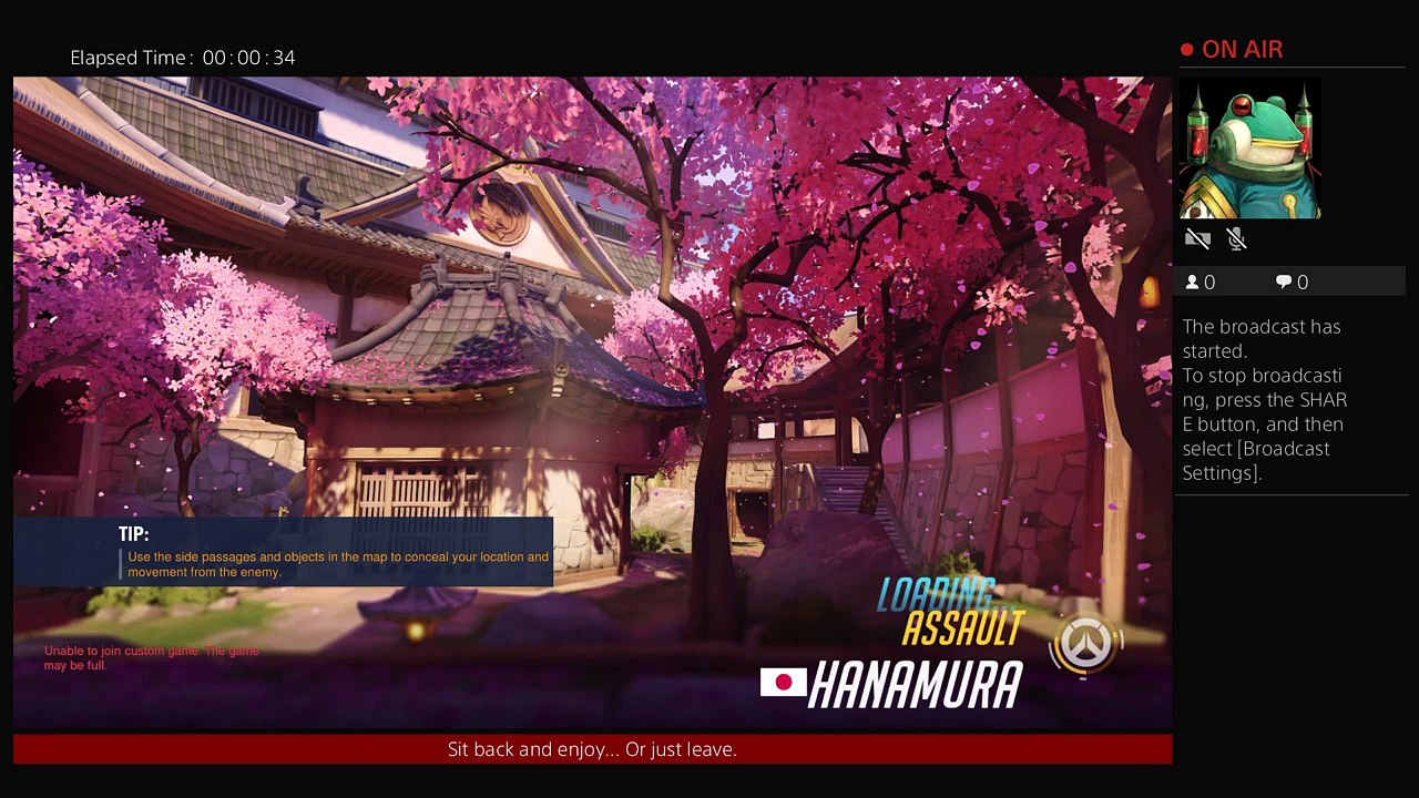 Overwatch Live Stream (3)