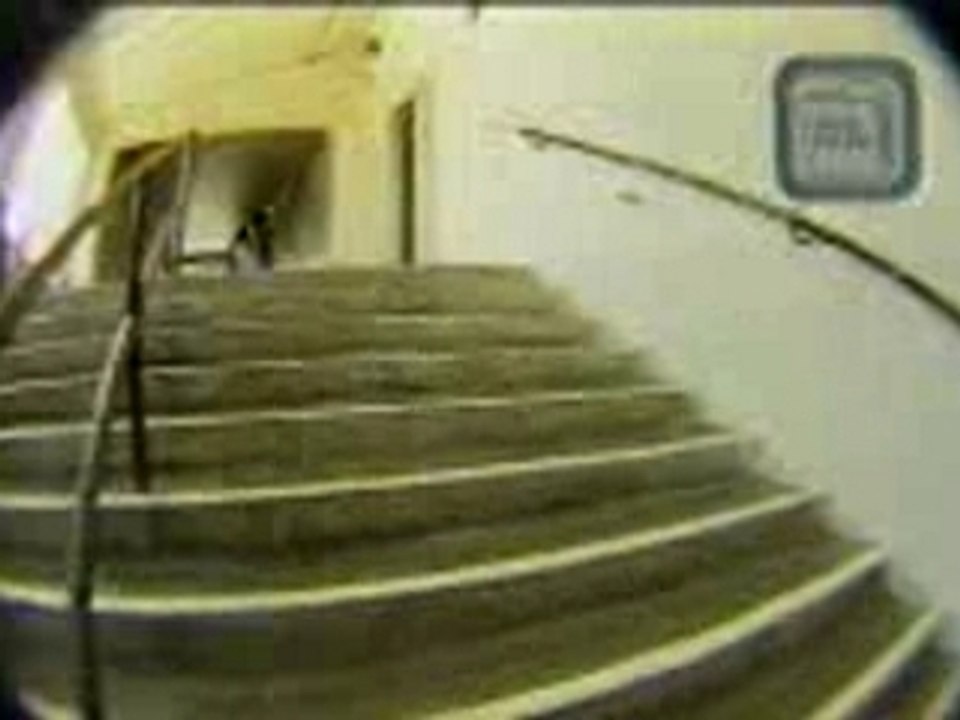 Sk8 big boss