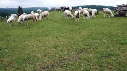 QFT 낙태상담 [낙태수술 ssuu22299@gmail.com ~메일로 문의하세요.] 낙태수술가능한병원