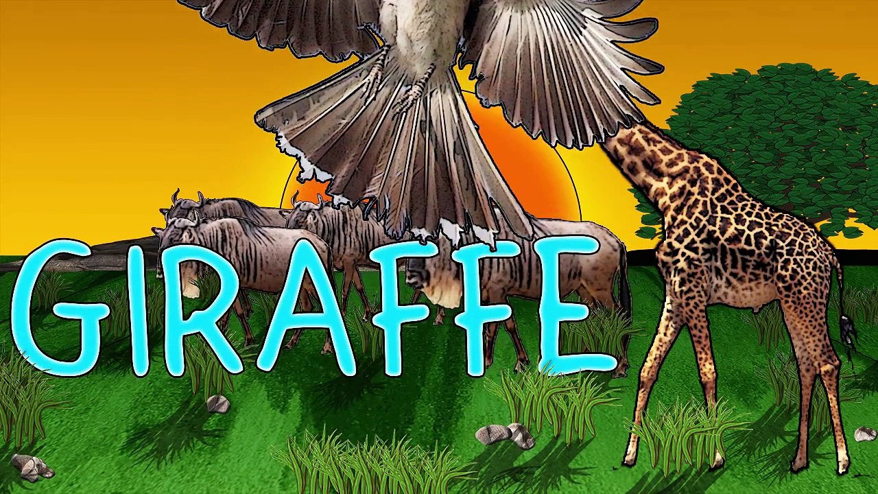 Animal Finger Family Nursery Rhymes Song! Finger Family Song Animals Wild Animals Finger Family Song