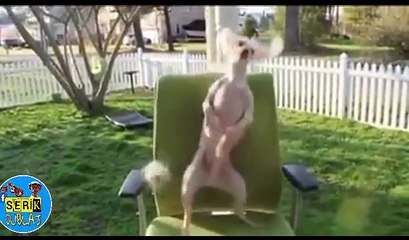 severim seni neşen herşeye değer