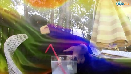 Frozen Elsa Magic Hands w/ Frozen Elsa Rainbow & Snow superheroes funny