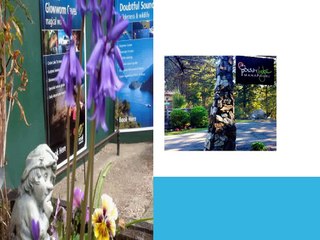 Manapouri Lakeview Accommodation and Holiday Park