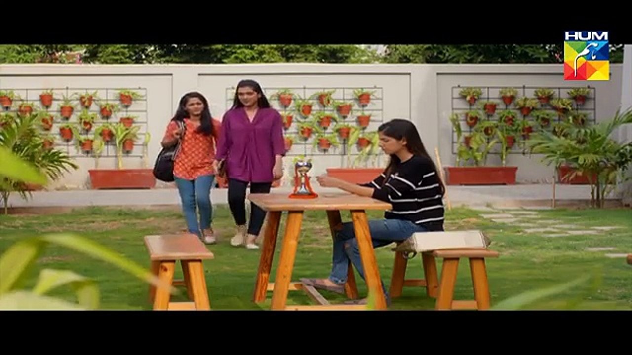 Mohabbat Khawab Safar Episode 25 HUM TV Drama - 24 July 2017(360p)