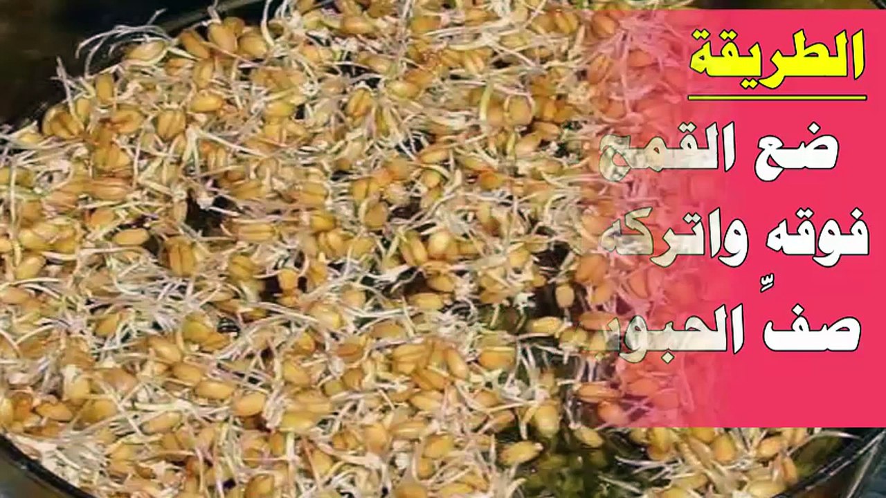 وصفة عالم روسي تكشف عن أقوى علاج منزلي عرفته البشرية