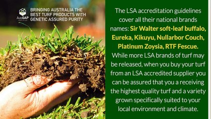 Lawn Solutions Australia and AUSGAP