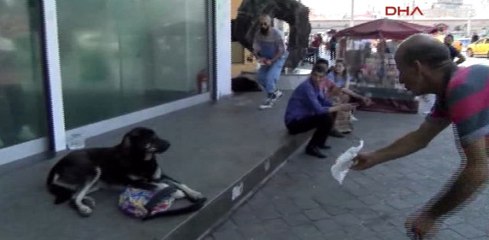 Taksim'de Köpeğe Kaptırdığı Çantası İçin Uzun Uğraşlar Verdi