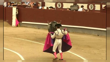 Toros en Baleares: sin muerte ni sangre