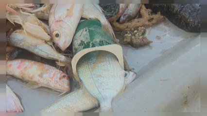 Les vêtements recyclés de la mer