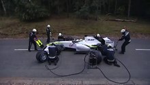 Bear  attack  F1  Pitstop  disaster