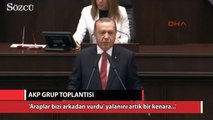 Erdoğan: 'Araplar bizi arkadan vurdu' yalanını bir kenara...'