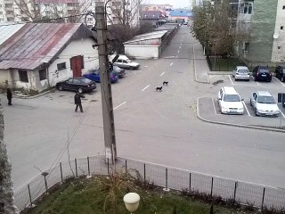 cearta la slatina intre tigani