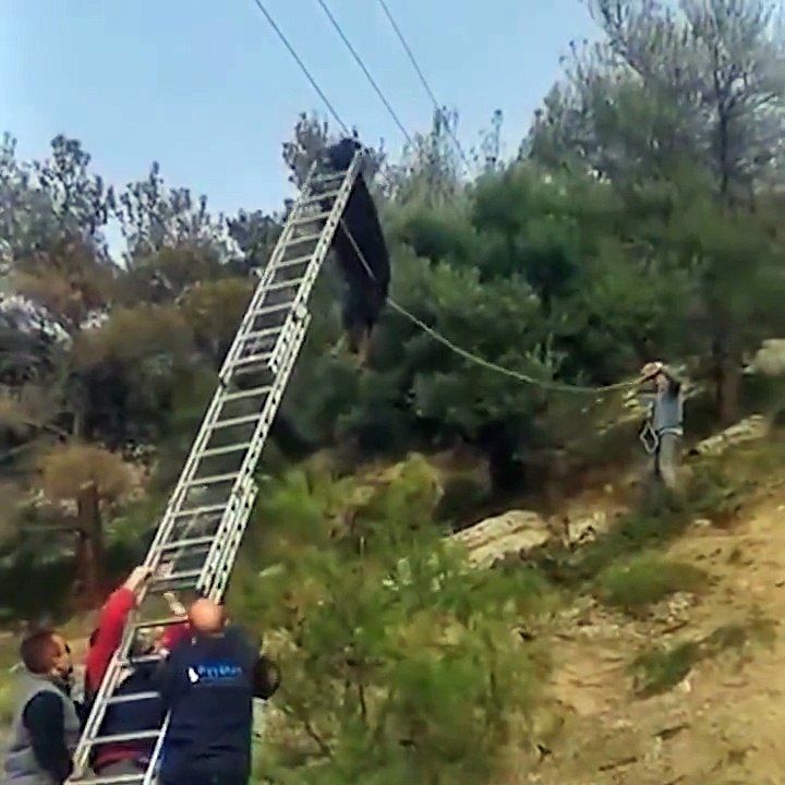 Cableway
