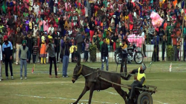 Horse cart racing - Kila Raipur, Punjab