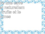 PDF download  construire une cave conserver naturellement les fruits et legumes free ebook
