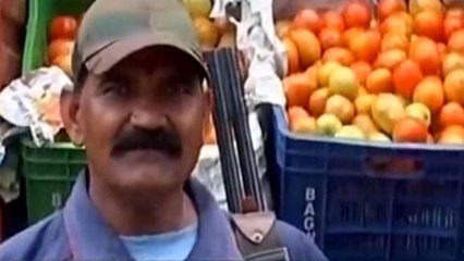 Fiyatı İki Katına Çıkan Domatesin Başında Silahla Nöbet Tutuyorlar