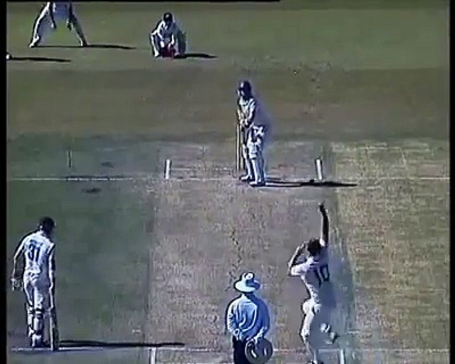 Cornered Tigers