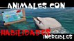 LOS 6 ANIMALES CON LAS HABILIDADES MAS INCREIBLES DEL MUNDO | OSCAR JACK