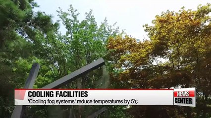 How Daegu city battles the summer heat