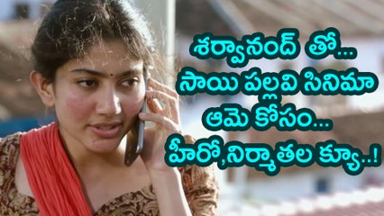 Sai Pallavi In sharwanand's Next Film?