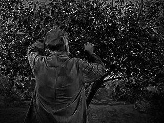 Petticoat Junction S2 E10 - Kate's Bachelor Butter