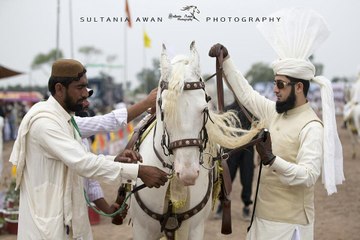 Sahibzada Sultan Muhammad Ali ♦ M.H Sultania Awan Horse Neza Baaz Club