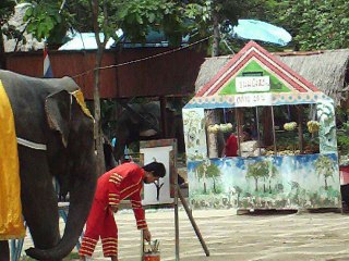 Tour World Largest Crocodile Farm, Bangkok, Thailand