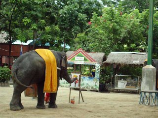 Tour World Largest Crocodile Farm, Bangkok, Thailand