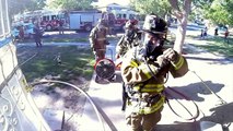 Bombeiro usando Go Pro registra o resgate de um gatinho em um incêndio