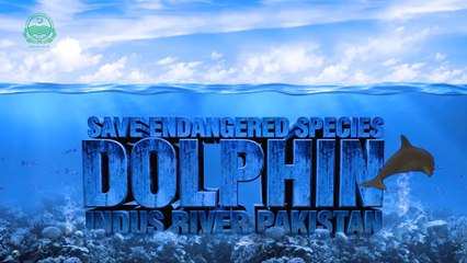 Protection of wild life & environment - Sajjad