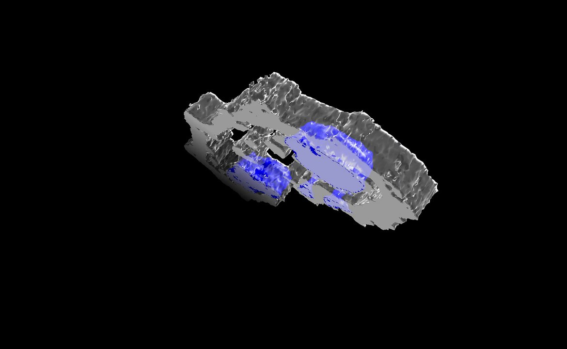 Tomographie X multimodale par balayage de la zone centrale d'un foraminifère sur NANOSCOPIUM