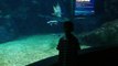 Tour Siam Fish Aquarium, Bangkok, Thailand