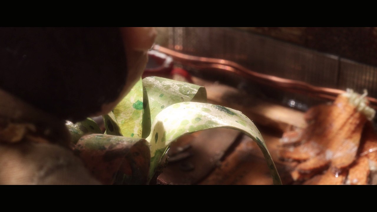 Homegrown