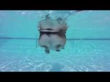 Corgi Shows Off Swimming Skills