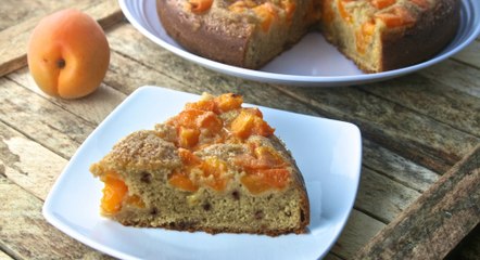 طريقة عمل كاتو المشمش مع جوز الهند بالفيديو