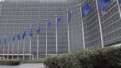 Dışişleri Bakanı Çavuşoğlu ve AB Bakanı Çelik, Brüksel'de (2)