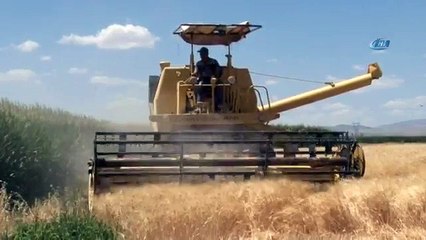 Konya Ovası’nda Kışın Bereketi Görülmeye Başlandı