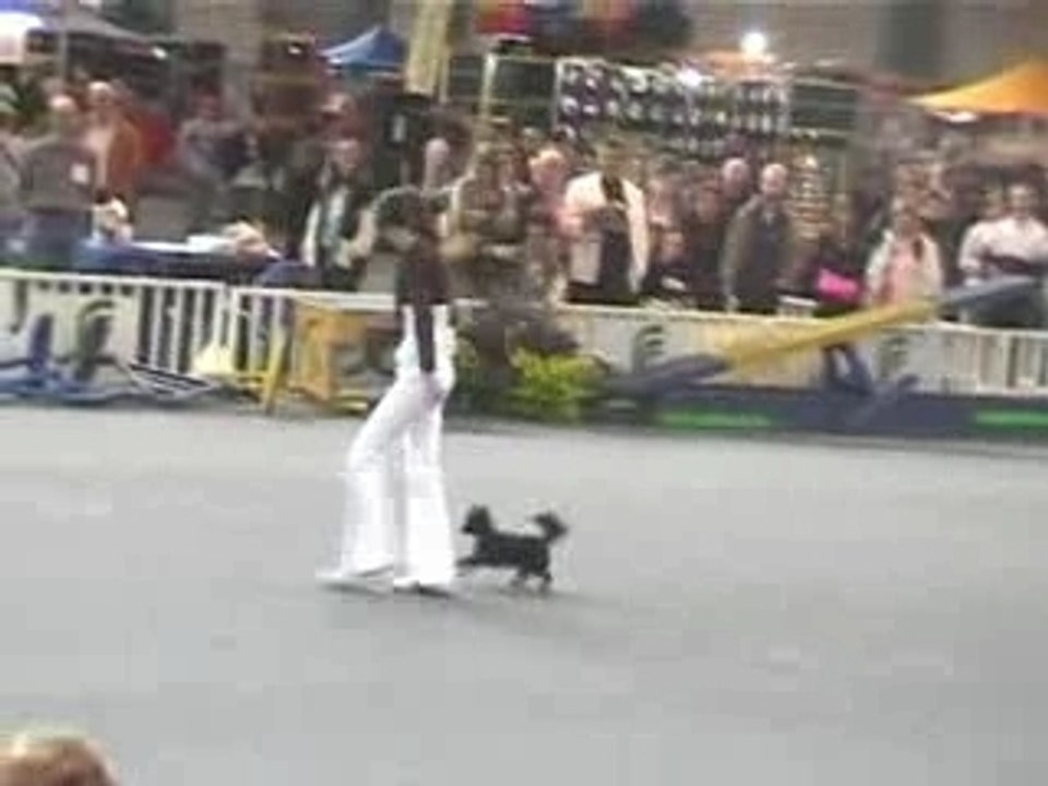 Bridget obr Waken 14.10.07 1er passage