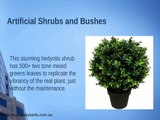 Fake Plants and Hedges – Designerplants.com.au