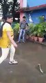 indian brave girl caught with hand indian cobra / viral video / an indian
