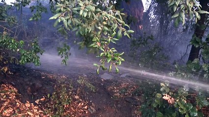Corse : les pompiers luttent toujours contre les incendies