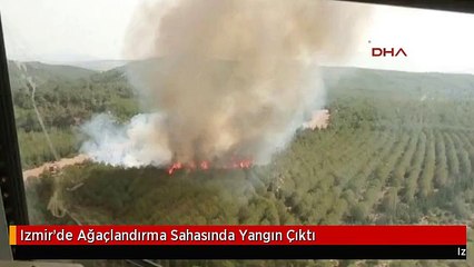 Izmir'de Ağaçlandırma Sahasında Yangın Çıktı