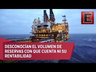 Pemex buscará alianzas con empresas privadas para explotar yacimiento en Yucatán