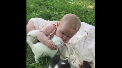 Çocuk ve Kedi Yavruları