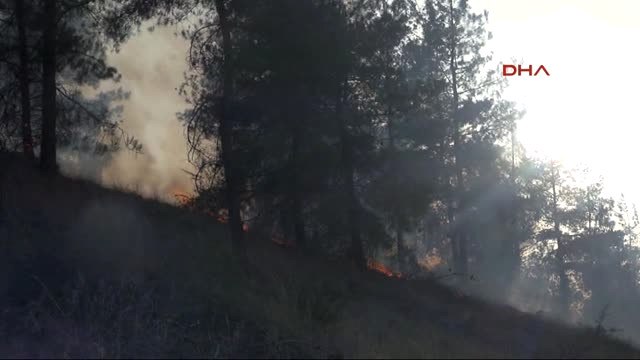 Denizli Orman Yangınına Fabrika Işçileri Yangın Tüpüyle Müdahale Etti