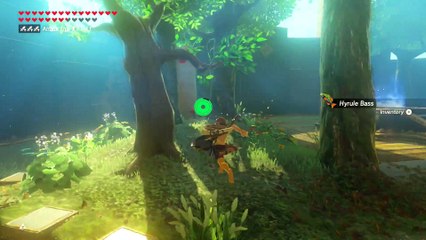 Trial of the Sword on Master Mode _ Middle Trials - Underground Floor Level  5, 6 and 7