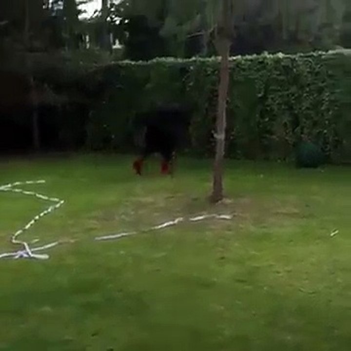 Mario Balotelli dizzy challenge